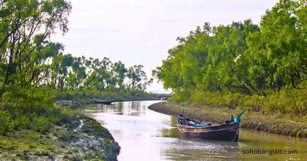 নিঝুম দ্বীপ ছবি